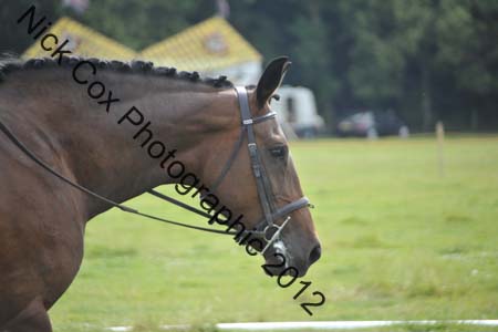 Huby_07-27_077