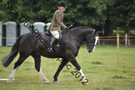 Huby_07-27_285