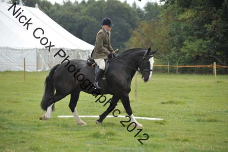 Huby_07-27_286