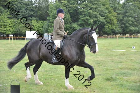 Huby_07-27_290