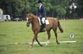 Huby_07-27_207