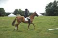 Huby_07-27_236
