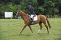 Huby_07-27_239