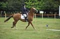 Huby_07-27_240