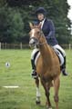 Huby_07-27_242