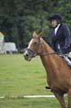Huby_07-27_243