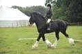 Huby_07-27_246