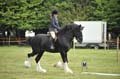 Huby_07-27_247