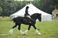 Huby_07-27_248