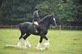 Huby_07-27_249