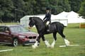 Huby_07-27_250