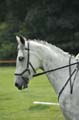 Huby_07-27_266