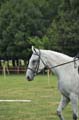 Huby_07-27_281