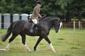 Huby_07-27_285