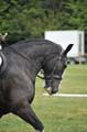 Huby_07-27_287