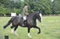 Huby_07-27_290