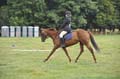 Huby_07-27_293