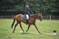 Huby_07-27_298