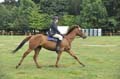 Huby_07-27_299