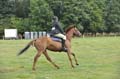 Huby_07-27_300