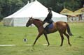 Huby_07-27_302