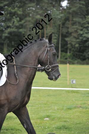 Huby_07-27_226