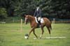 Huby_07-27_138