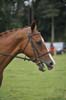 Huby_07-27_140