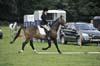 Huby_07-27_177