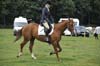 Huby_07-27_199
