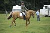 Huby_07-27_216