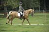 Huby_07-27_217
