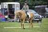 Huby_07-27_221