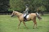 Huby_07-27_222