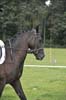 Huby_07-27_226