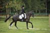 Huby_07-27_230
