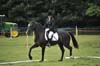 Huby_07-27_231